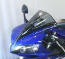 YZF R1, 04-06